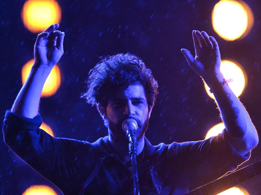 Foals