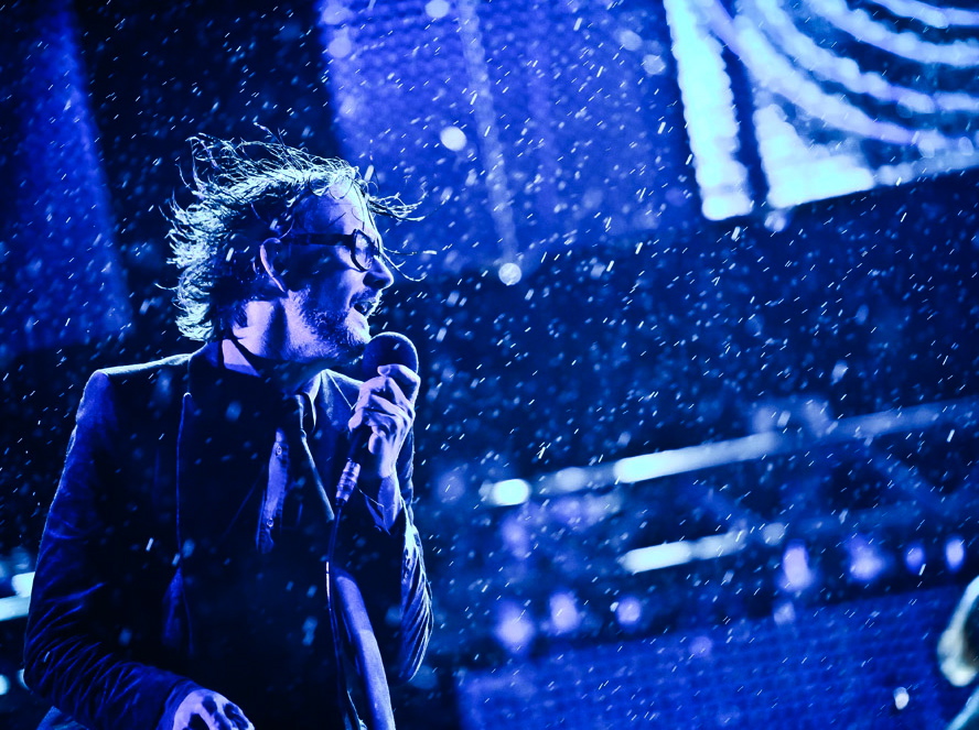 Pulp