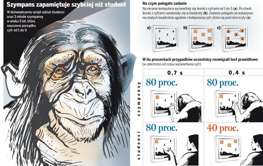 Człowiek Od Dawna Wykorzystywał Intuicję Człowiek pochodzi od małpy? Oto cała prawda - Nauka i nowe technologie