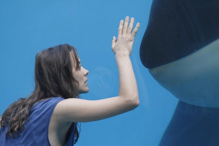 Marion Cotillard w filmie "Rust and Bone"